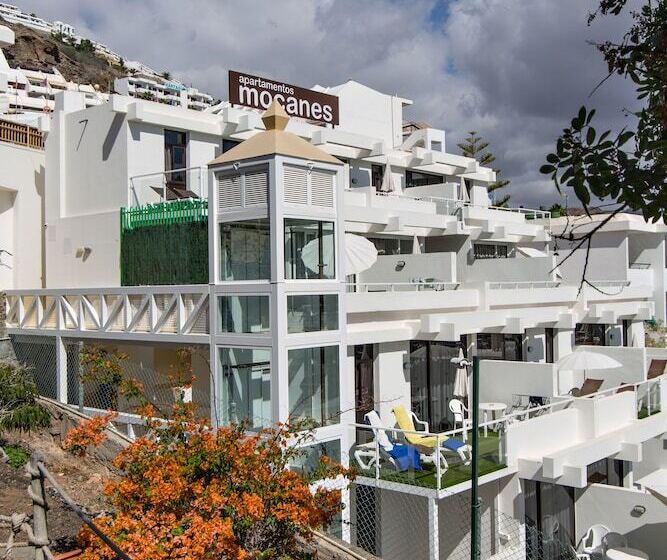 Apartamentos Los Mocanes