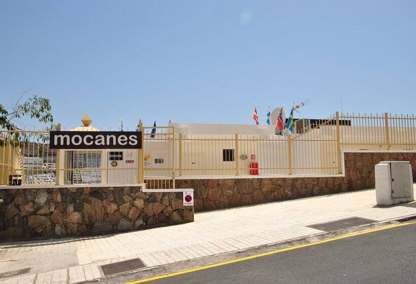Apartamentos Los Mocanes