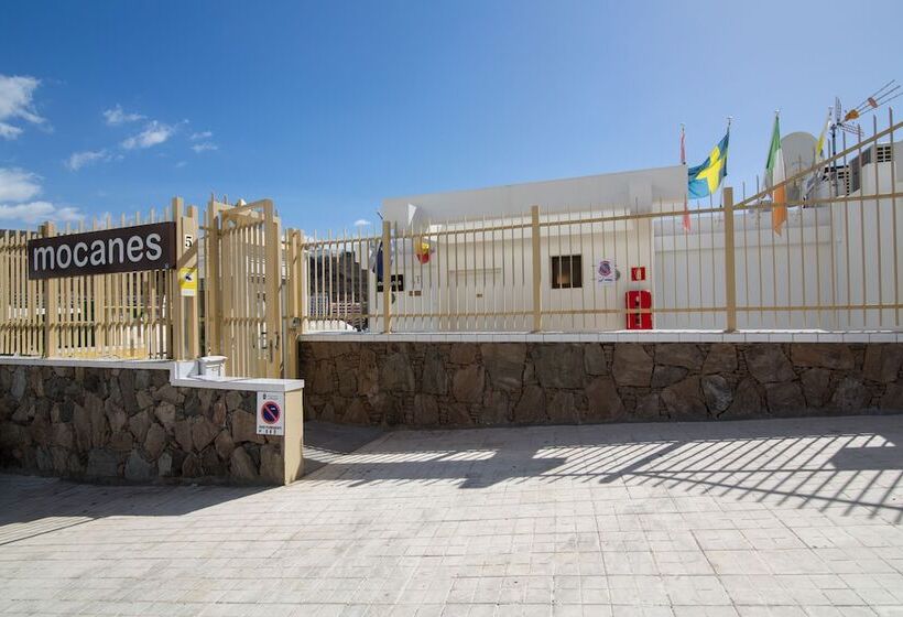 Apartamentos Los Mocanes