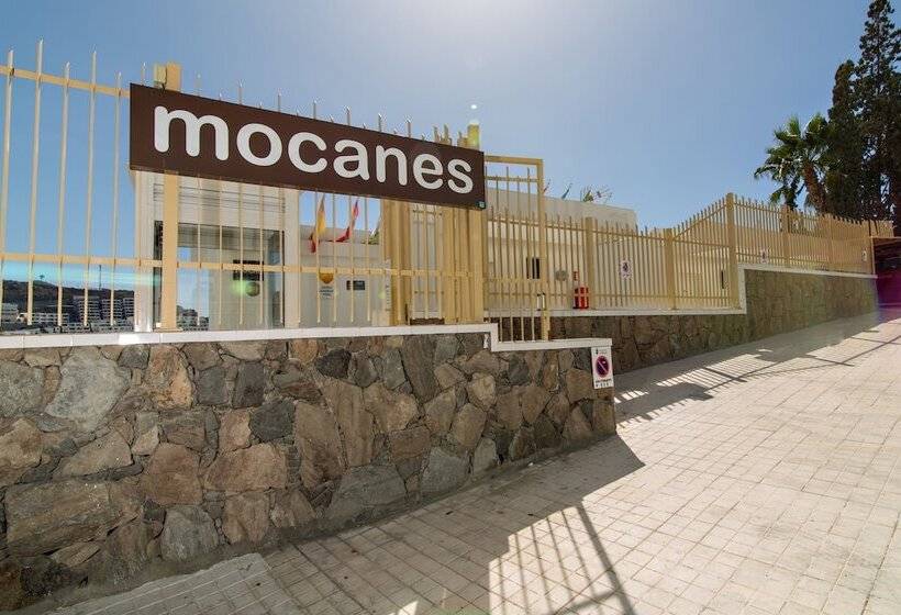 Apartamentos Los Mocanes