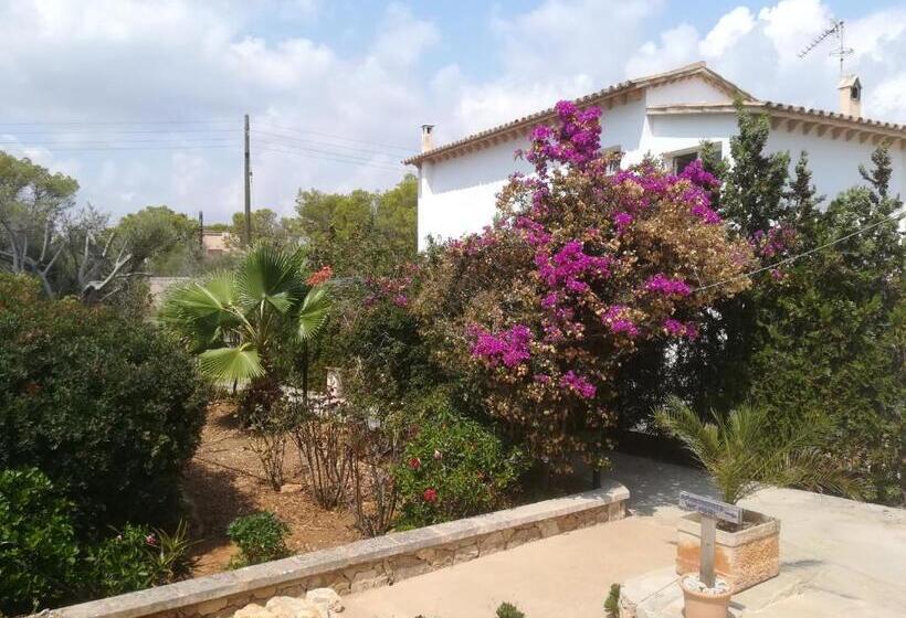 Apartamentos Villa Primera