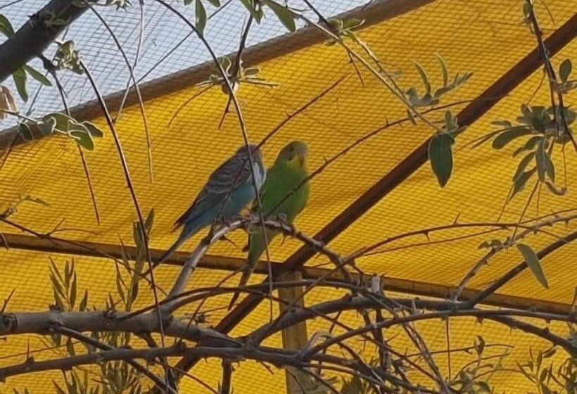 Complejo Rural Ibipozo