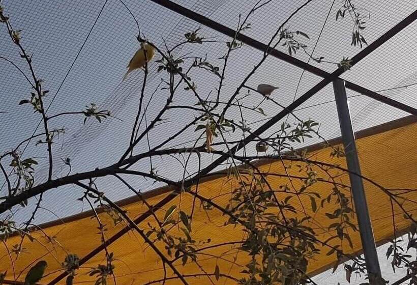 Complejo Rural Ibipozo