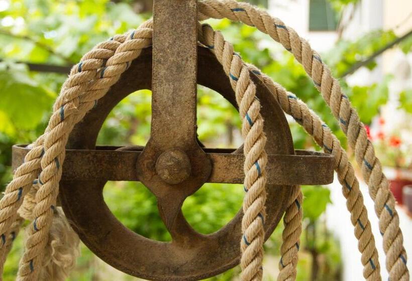 בית מלון כפרי Antiga