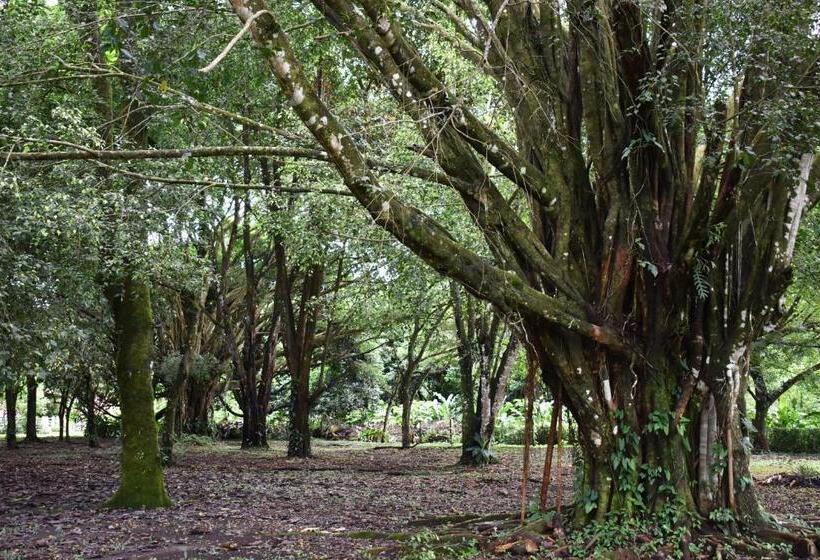 فندق Arenal Country Inn