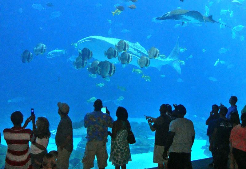 ホテル Arrayanes Playa Almunecar