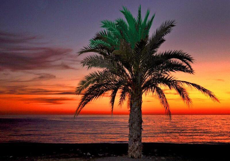 ホテル Arrayanes Playa Almunecar