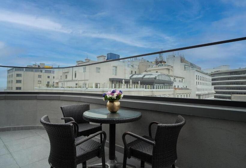 Arts Hotel Taksim