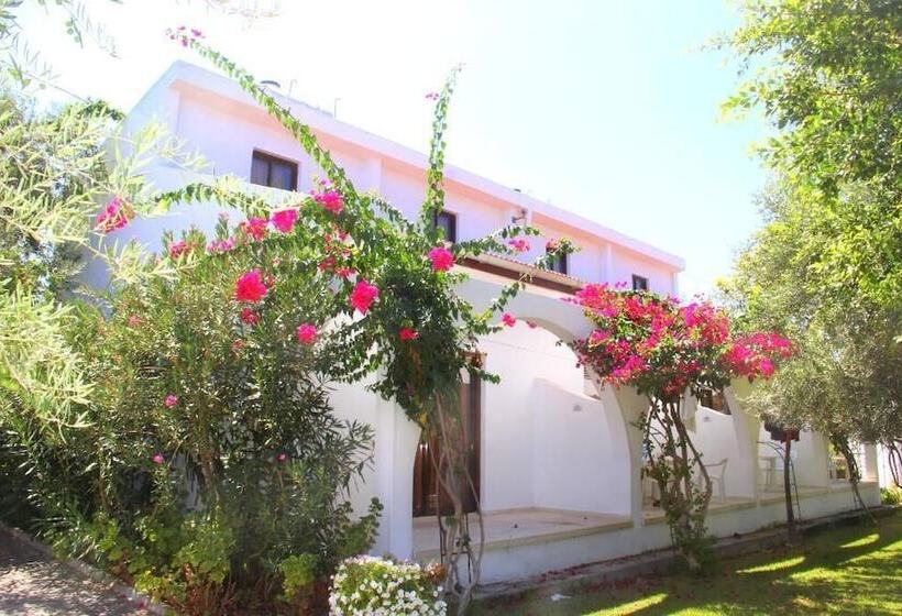 Отель Bare Hill Holiday Village