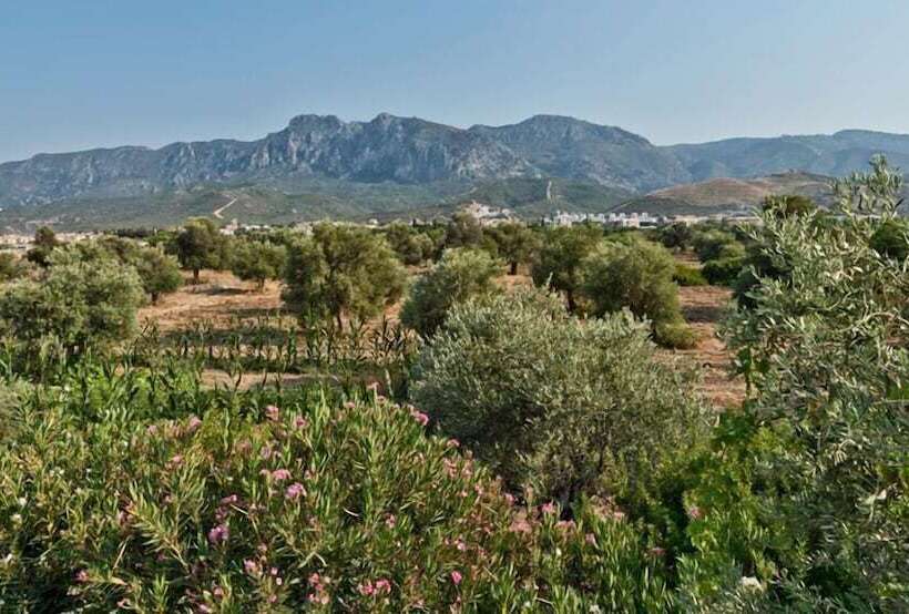 Отель Bare Hill Holiday Village