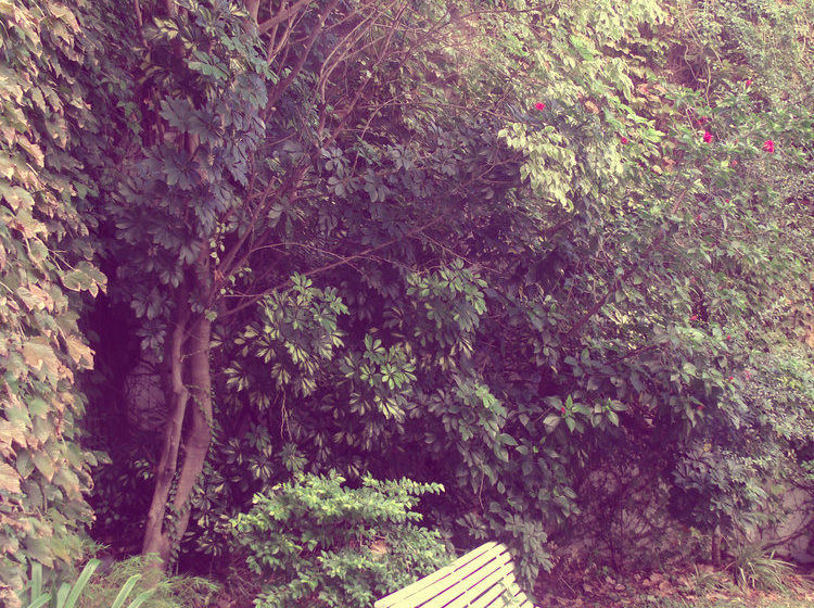 هتل Bohemia Buenos Aires