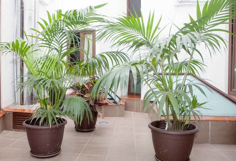 هتل Castilla Guerrero