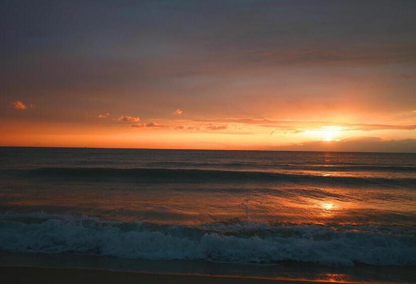 酒店 Cosmopolitan Golf & Beach Resort