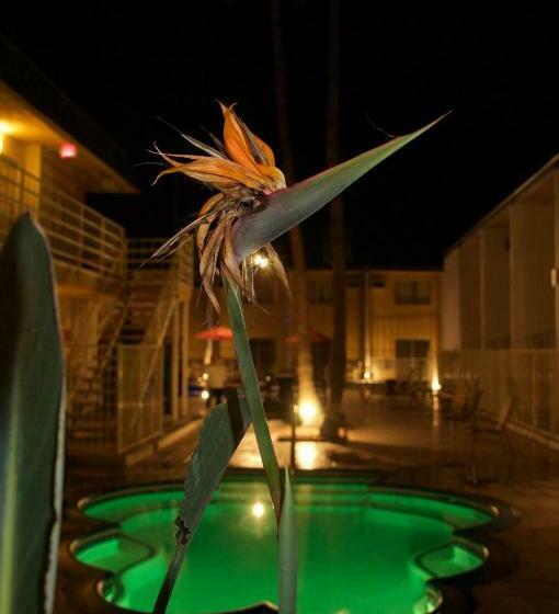 فندق Delos Reyes Palm Springs