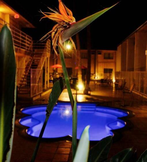 فندق Delos Reyes Palm Springs