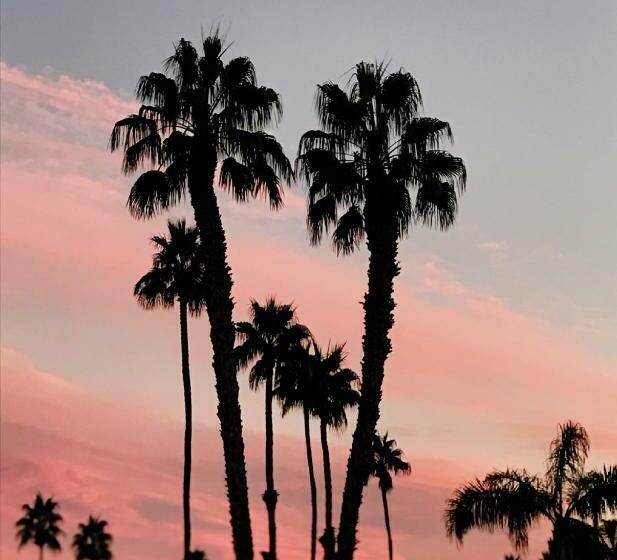 فندق Delos Reyes Palm Springs