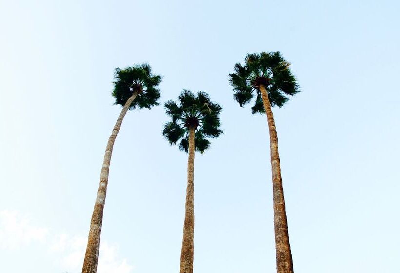 فندق Delos Reyes Palm Springs