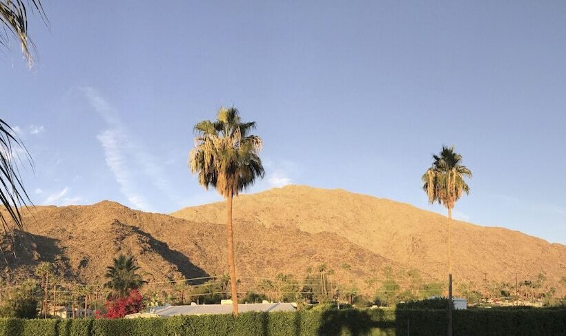 فندق Delos Reyes Palm Springs