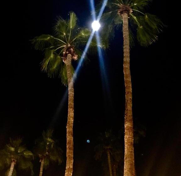 فندق Delos Reyes Palm Springs