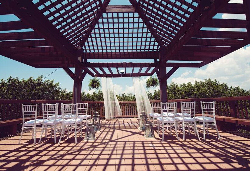 בית מלון כפרי Grand Hyatt Tampa Bay