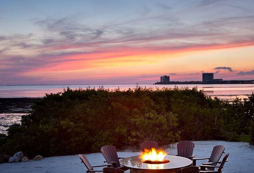 בית מלון כפרי Grand Hyatt Tampa Bay