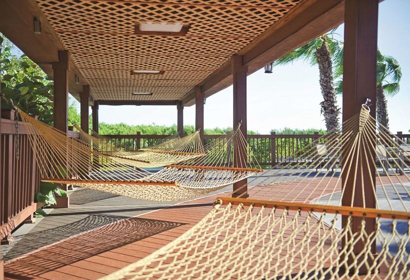 בית מלון כפרי Grand Hyatt Tampa Bay