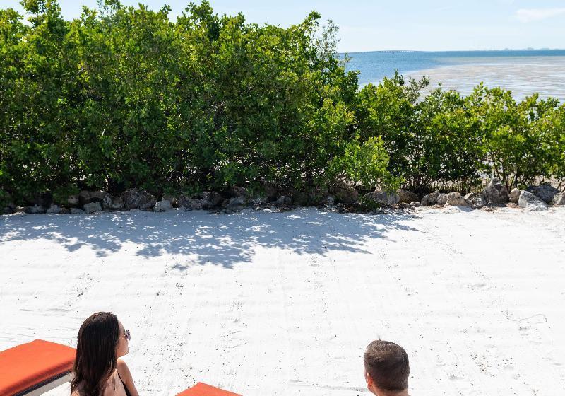 בית מלון כפרי Grand Hyatt Tampa Bay