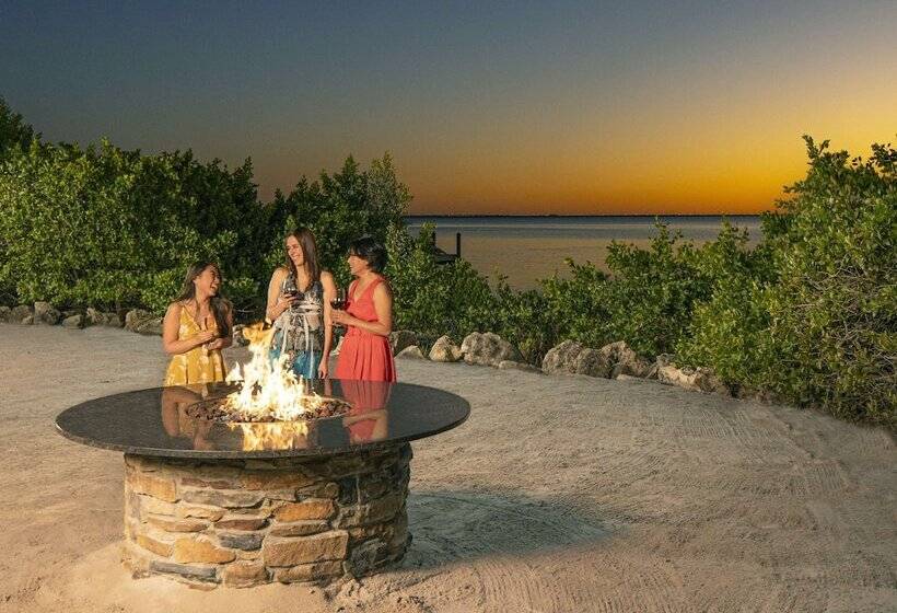 בית מלון כפרי Grand Hyatt Tampa Bay