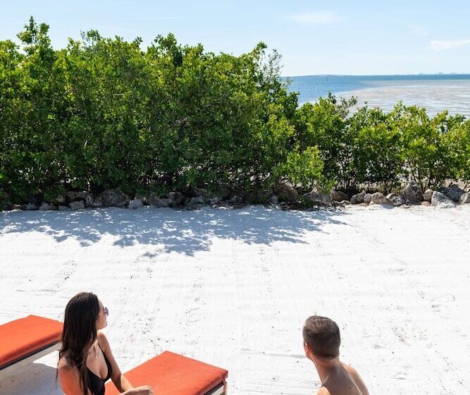 בית מלון כפרי Grand Hyatt Tampa Bay