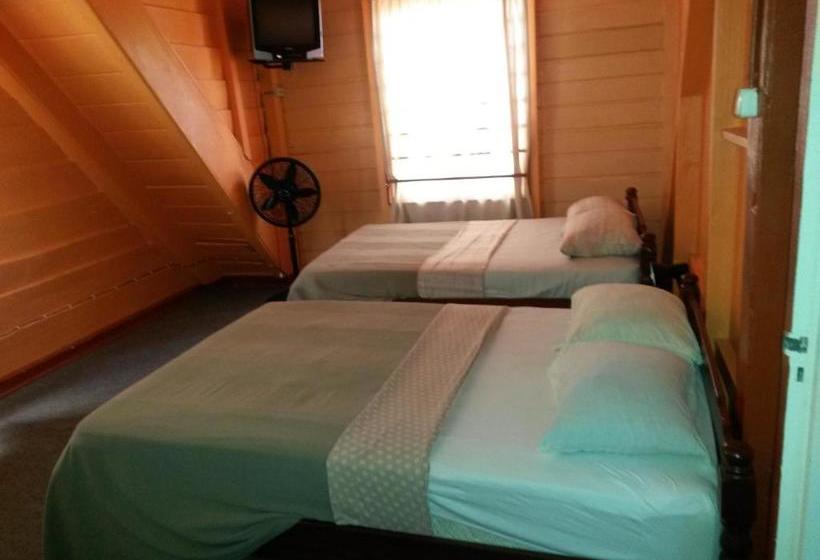 هتل Guesthouse Albergoalberga