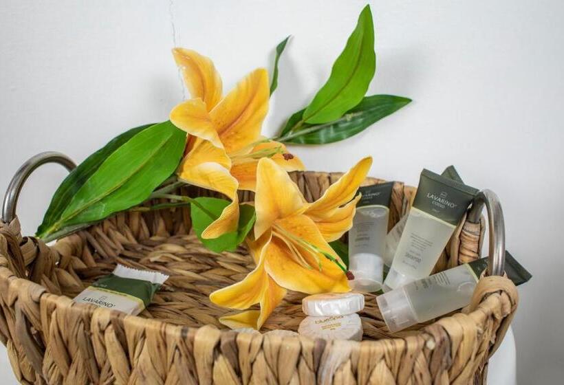 호텔 Hacienda Del Mar