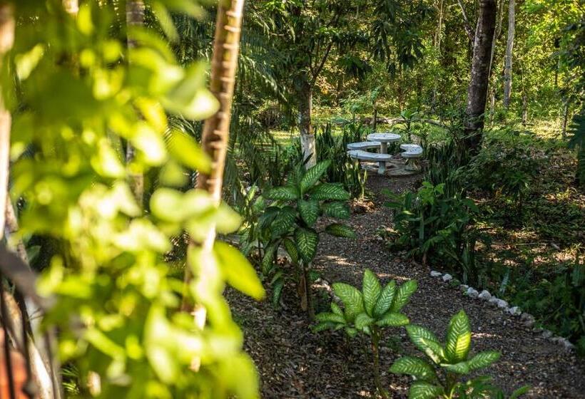 호텔 Hacienda Del Mar