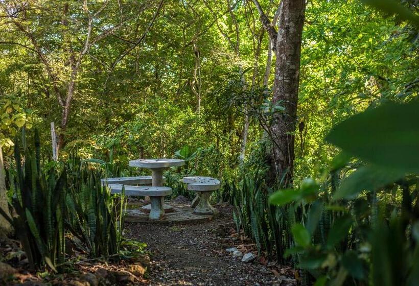 호텔 Hacienda Del Mar