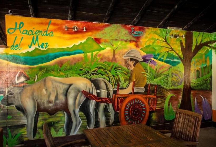 호텔 Hacienda Del Mar