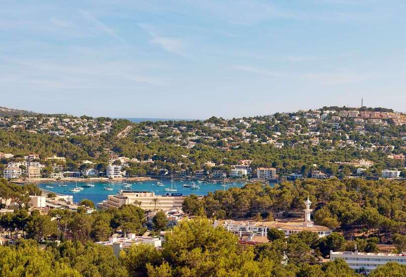 هتل Hilton Mallorca Galatzo