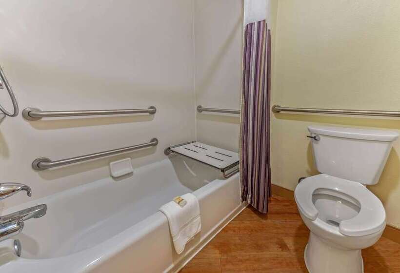 בית מלון כפרי La Quinta By Wyndham Tampa Brandon West