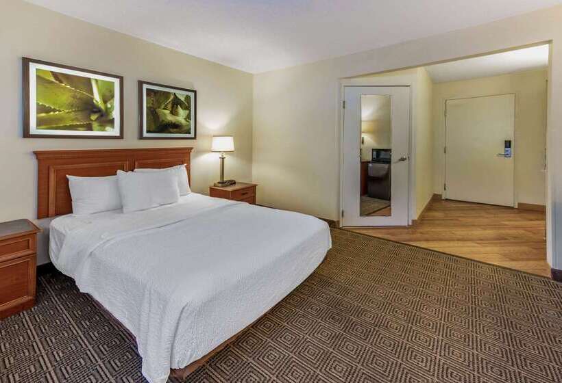 בית מלון כפרי La Quinta By Wyndham Tampa Brandon West