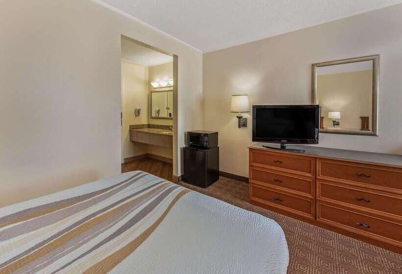 בית מלון כפרי La Quinta By Wyndham Tampa Brandon West