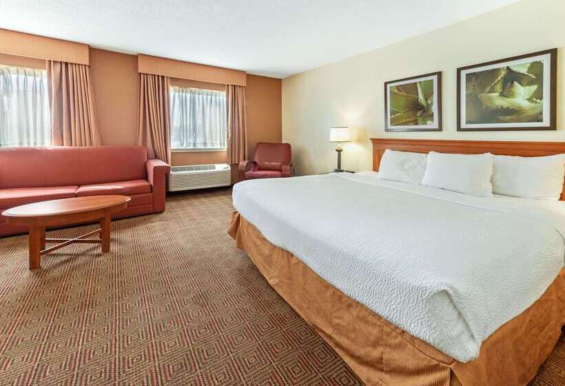 בית מלון כפרי La Quinta By Wyndham Tampa Brandon West