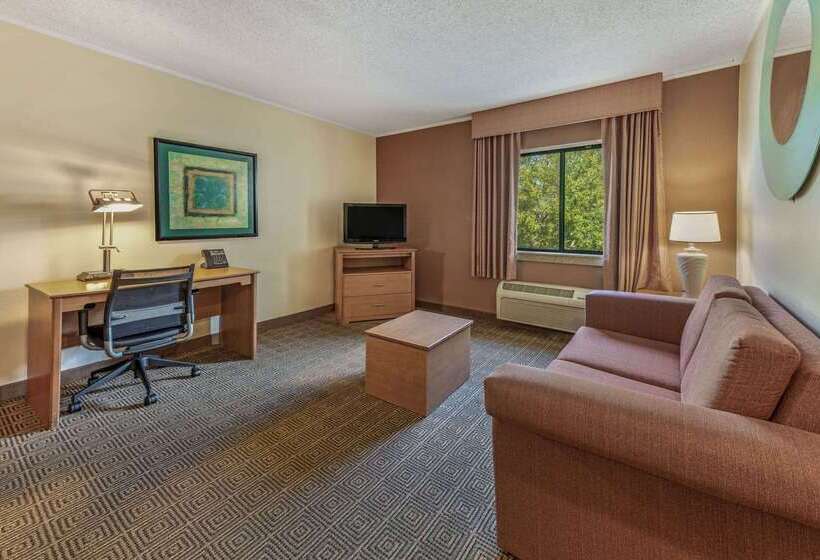 בית מלון כפרי La Quinta By Wyndham Tampa Brandon West