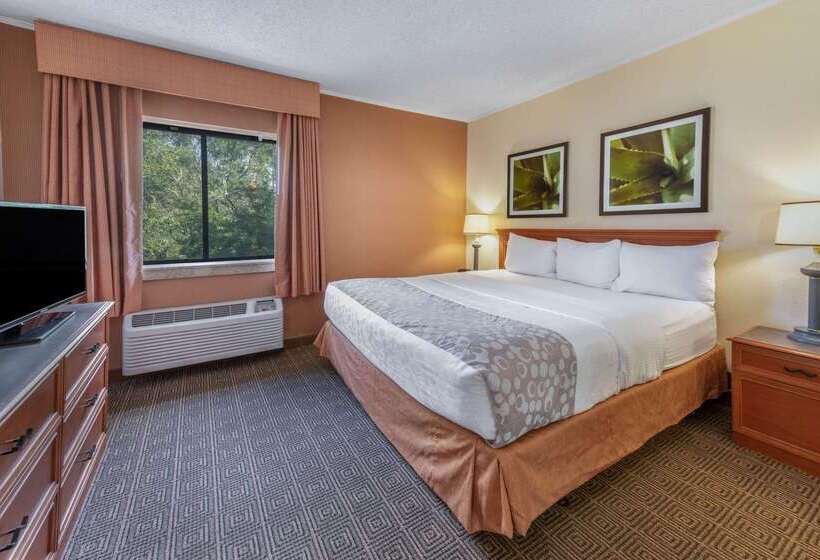 בית מלון כפרי La Quinta By Wyndham Tampa Brandon West