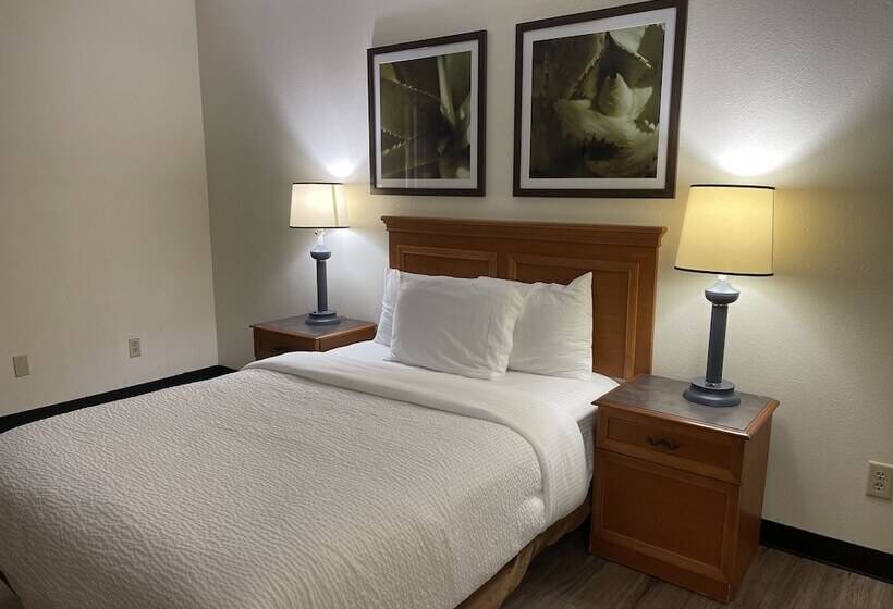 בית מלון כפרי La Quinta By Wyndham Tampa Brandon West