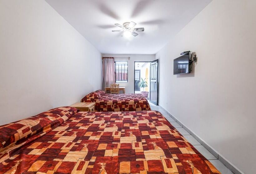 Отель Meson De Carolina