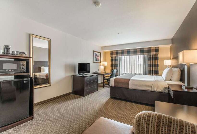 호텔 Quality Inn