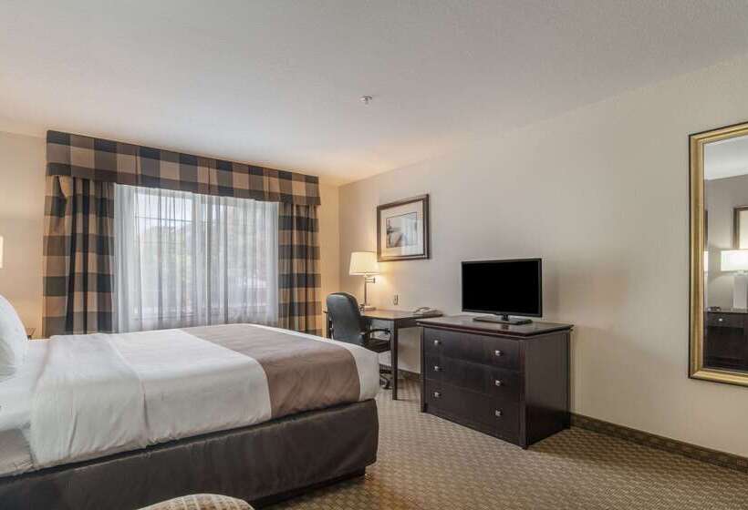 호텔 Quality Inn