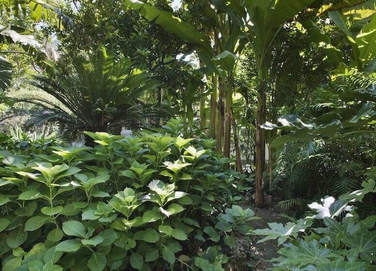 فندق Reginna Palace