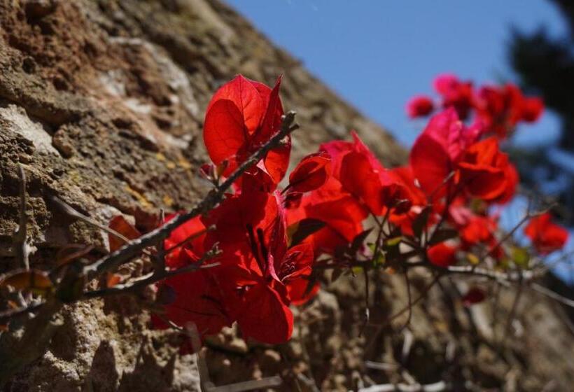 Сельский отель Agroturismo Sa Pletassa