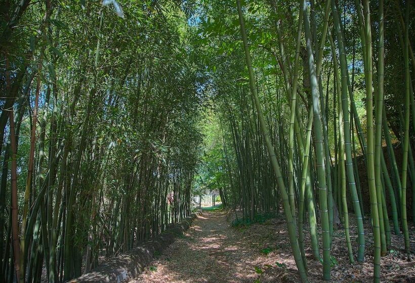 乡村酒店  Convento Dos Capuchos