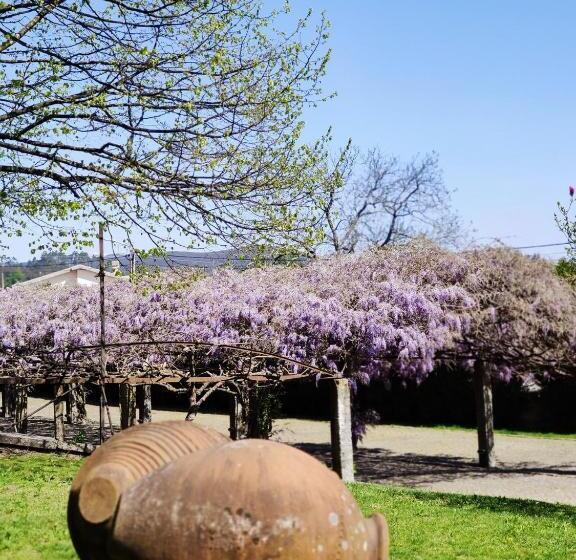 فندق ريفى Glicínia Boutique