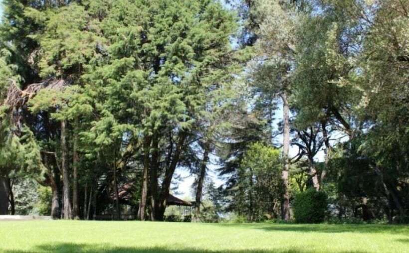 田舎風ホテル Glicínia Boutique